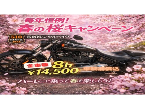 2024%e3%83%ac%e3%83%b3%e3%82%bf%e3%83%ab2