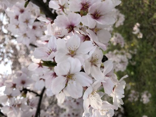 0113a189-ee31-4aa5-a53b-e5ab8b5cb0ca