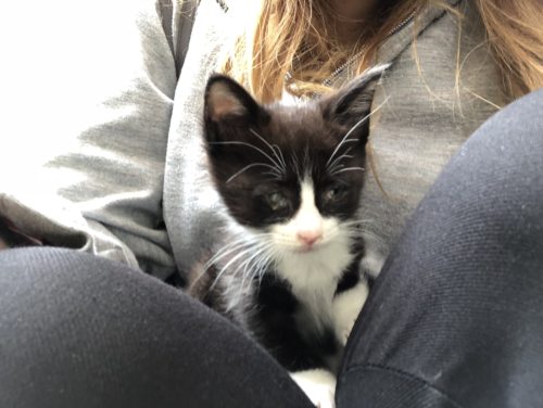 27028378-bc14-46b6-bc11-c17b301e2428