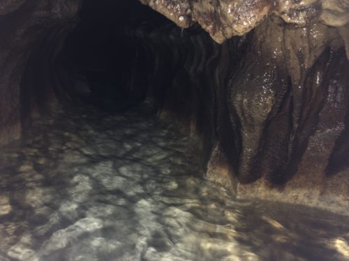 c268687a-0e26-465b-b6f3-cecb62b007dc