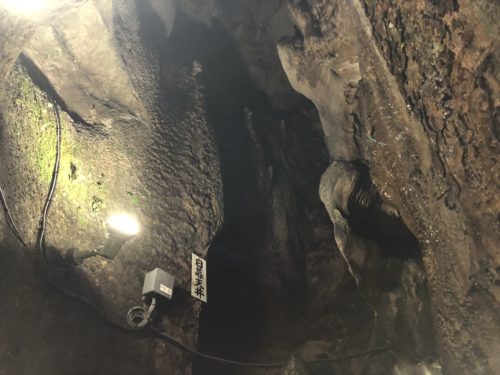 ee1549a9-9eb2-48ef-a8b3-a914b9f48e94