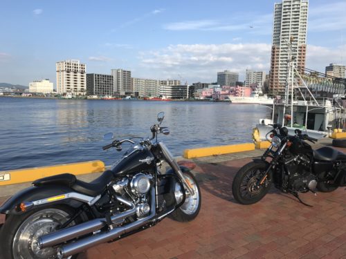 cbb0a530-a845-405e-a518-13dc121c2095