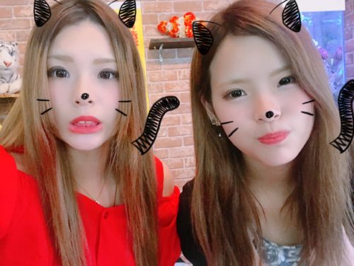 a191ddae-00a3-4a27-b763-1701a56bd75b